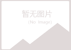 金山屯区翠安服务有限公司